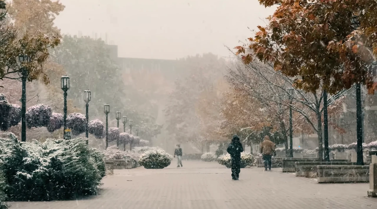 The first snowfall at my school (from a snippet of a short video clip I took in fall 2025). This was when it was still partially fall, so things looked decently pretty. Unfortunately, this was the final pretty moment before winter truly came and every plant and tree went into hibernation, adopting the facade of dead twigs and branches.